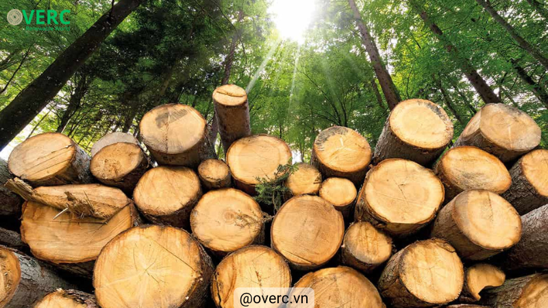 Blog-Analysis-of-the-Impact-of-Global-Conflicts-on-the-Biomass-Market-in-2024-OverC.vn