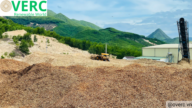 Blog-Global-Woodchip-Market-Outlook-and-Vietnam's-Woodchips-Export-Price-Trend-Updated-to-July-2024-OverC.vn