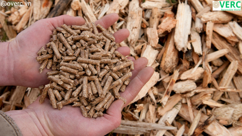 Blog-Production-and-export-of-wood-pellets-from-Vietnam,-current-situation-and-trends-of-product-output-market-OverC.vn