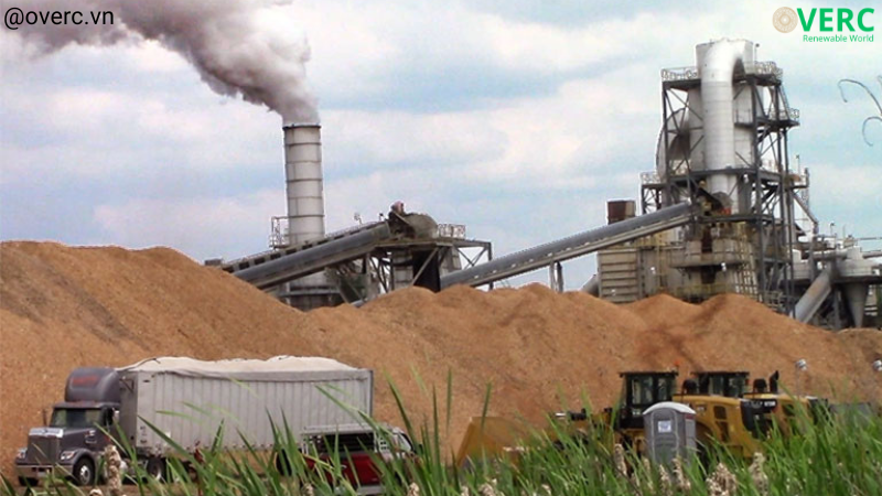 Blog-Vietnam-exports-wood-pellets-Government-policies-OverC.vn